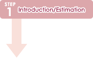 Step 1: Introduction/Estimation