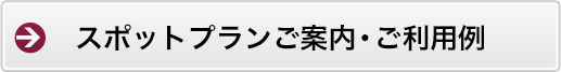 スポットプランご案内・ご利用例